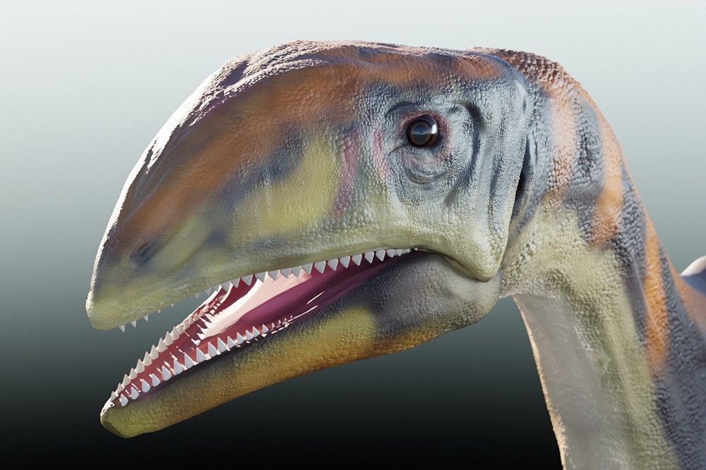 Ученые обнаружили новый вид динозавров, живших 214 миллионов лет назад