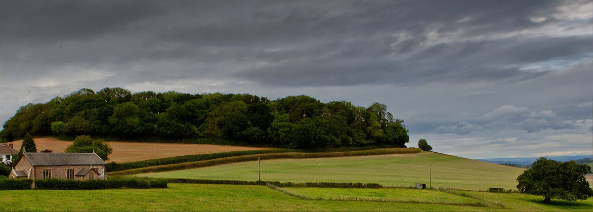 Posbury Clump 