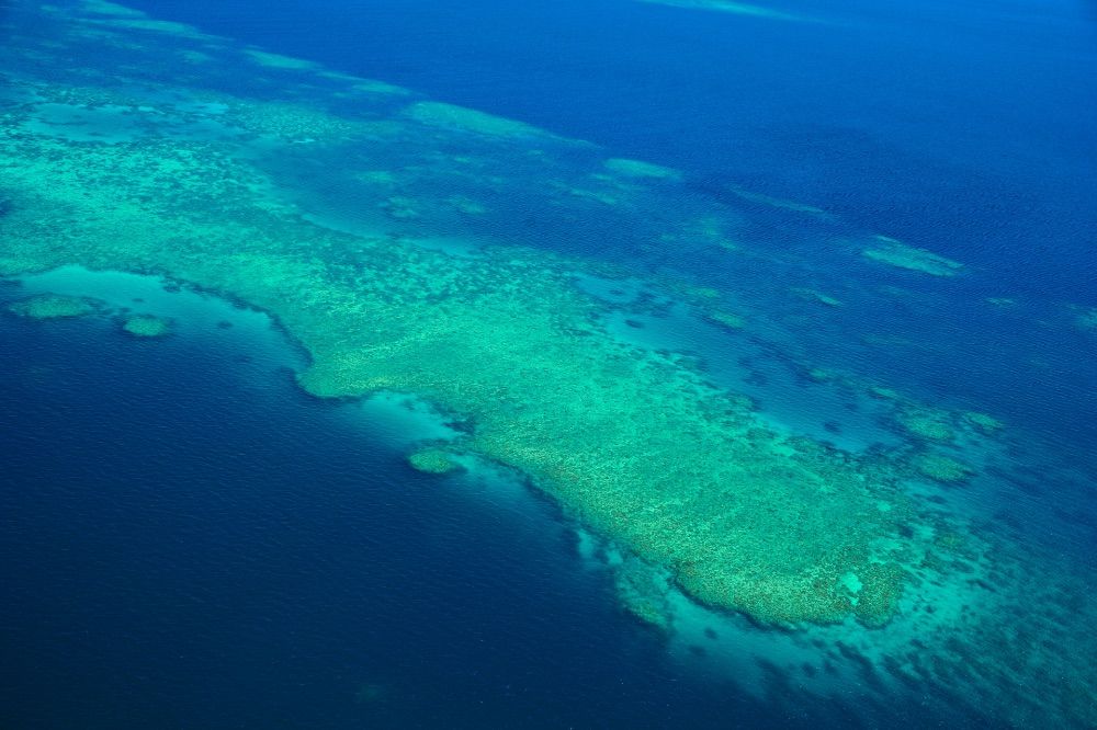 Крупнейший остров у берегов австралии. Большой Барьерный риф Австралия. Большой риф расположенный у берегов Австралии. Большой Барьерный риф Австралия ночью. Большой Барьерный риф вид из космоса.