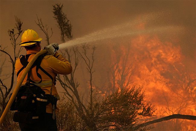 Калифорнийские пожары подступают к фермам марихуаны