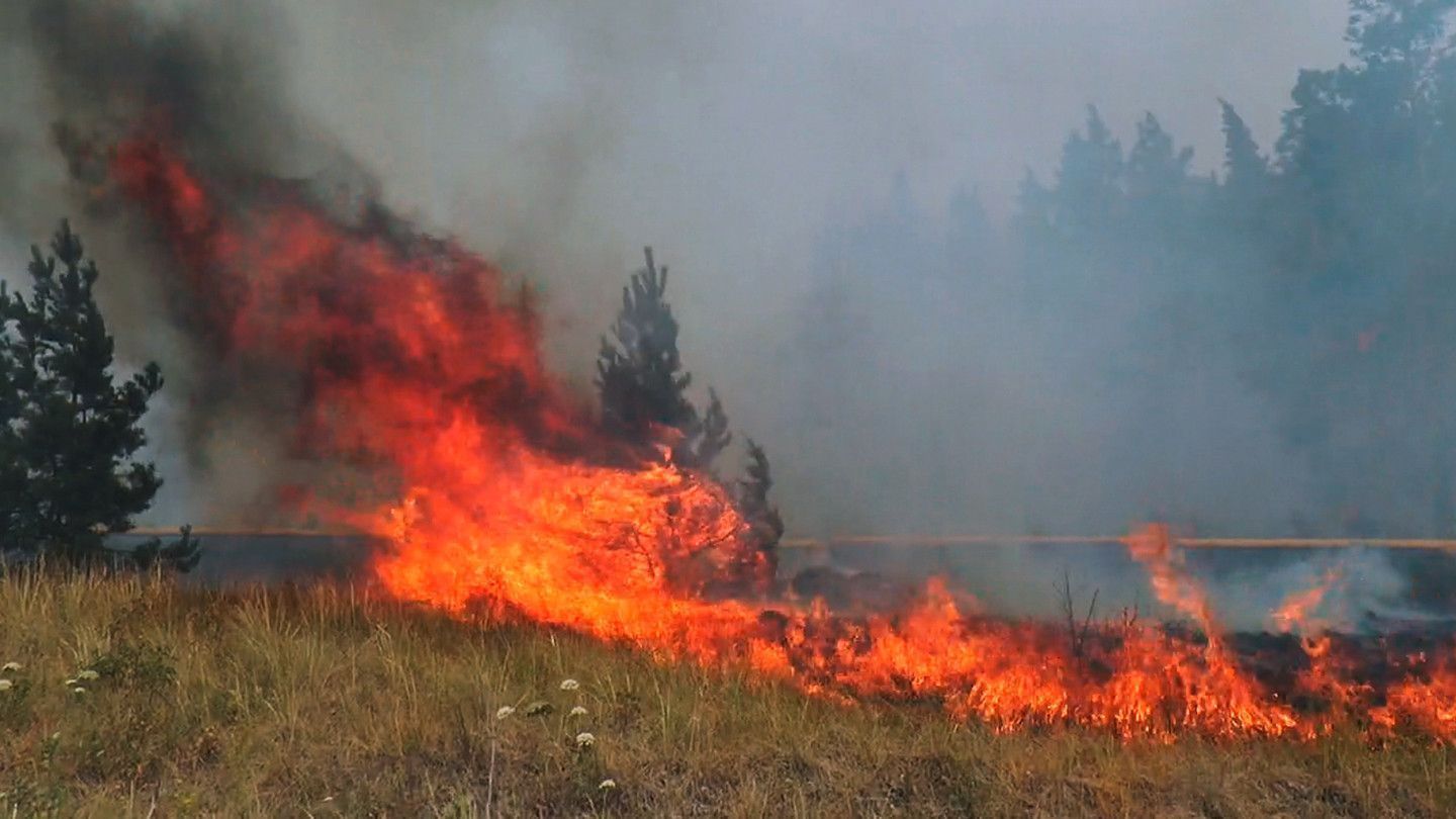 Лесные пожары в США и России: как борются с огнем по обе стороны океана