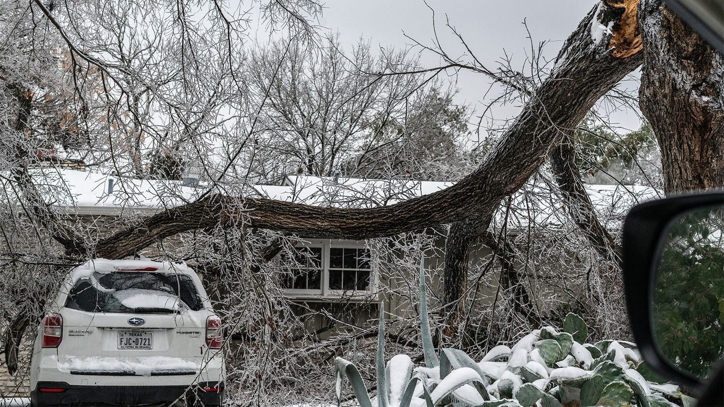 В Техасе появился свет. Как местные пережили несколько дней снежной блокады?