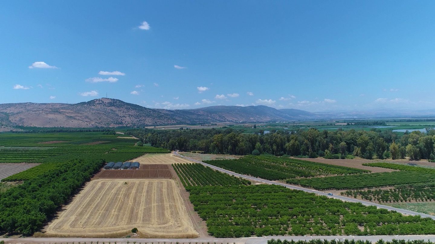 История «субботников», Высоцкий на иврите и ритмы страсти