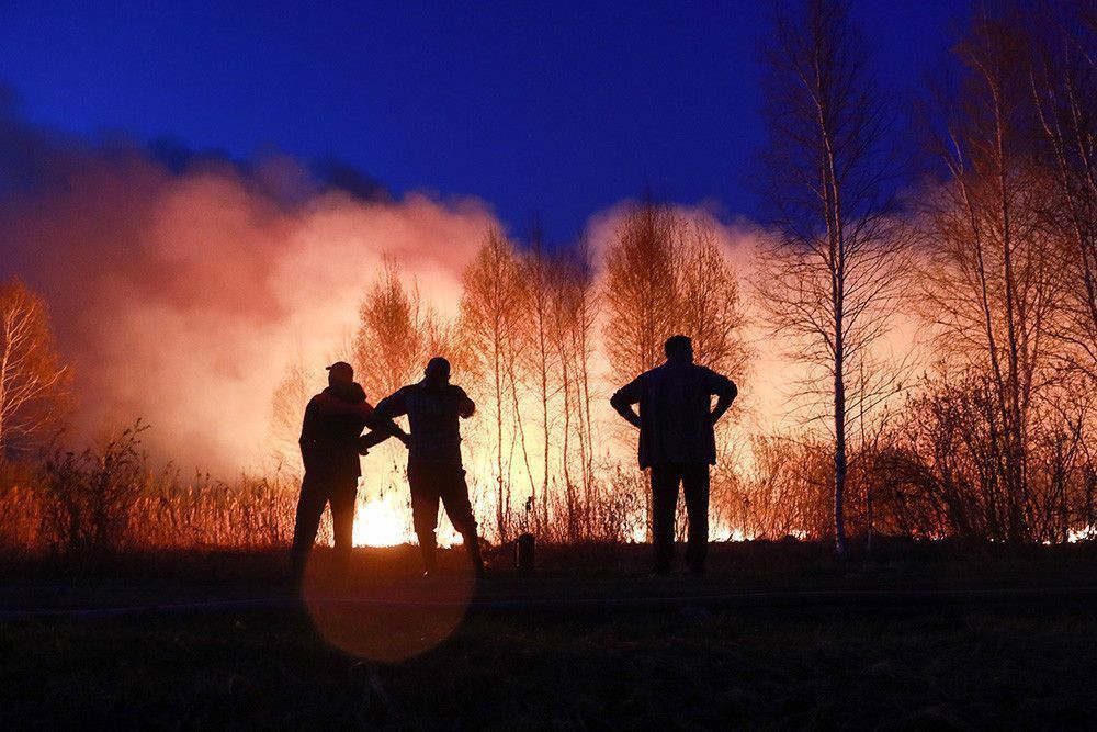 «9 из 10 возникает по вине людей». Эксперт Greenpeace о масштабных природных пожарах в России