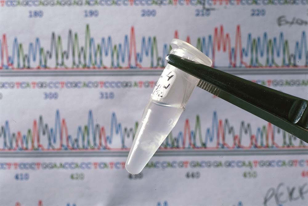 Ученые впервые расшифровали полный геном человека. Какую пользу это принесет
