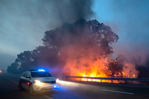 Jim Hollander / EPA / TASS