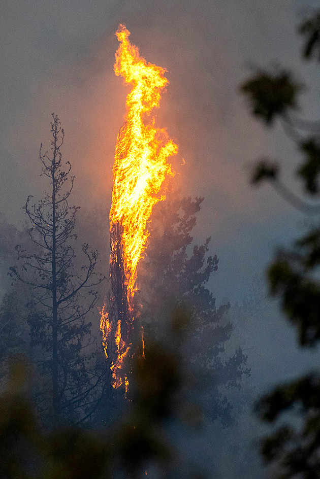 Jim Hollander / EPA / TASS
