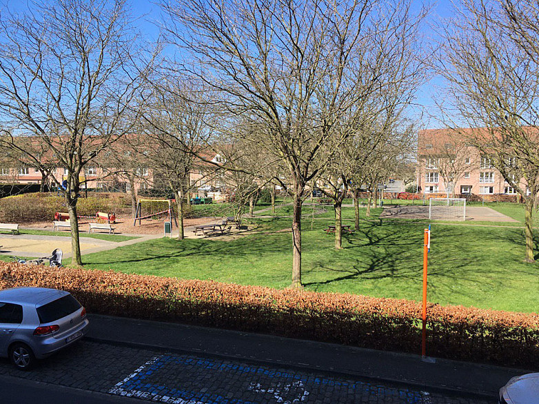 личный архив