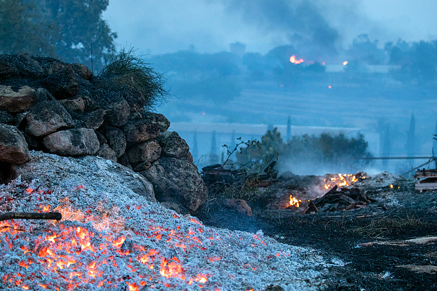 Jim Hollander / EPA / TASS