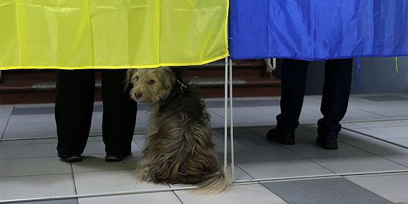 Разведка США предсказала досрочные выборы в Украине