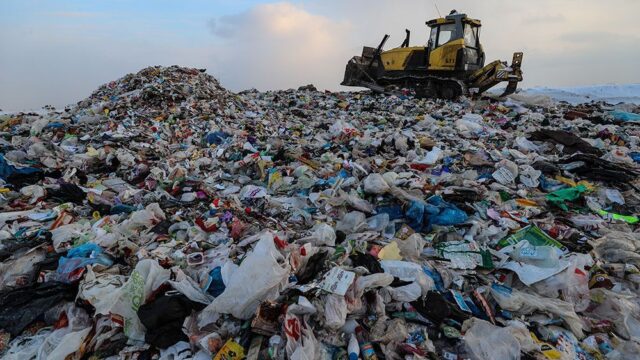 Власти Москвы назвали регионы, куда будут вывозить мусор: главное