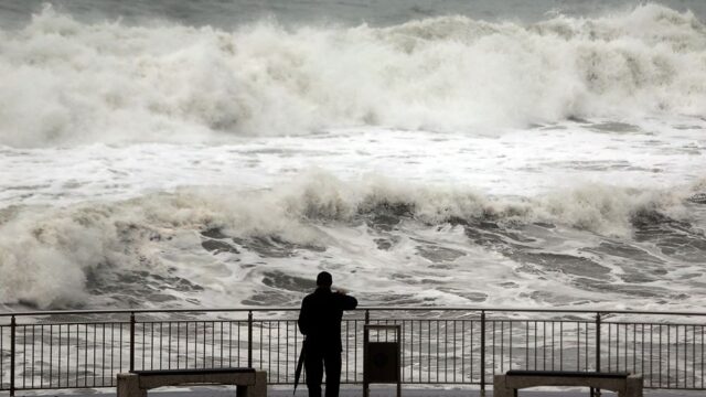 На берегу Черного моря в Румынии нашли больше 100 кг кокаина