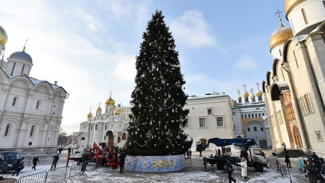 Главную новогоднюю елку страны установили в Москве. Фотогалерея