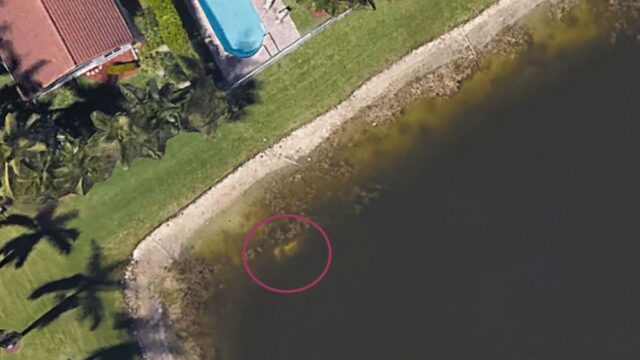 Во Флориде 22 года назад пропал мужчина. Его останки нашли благодаря снимку на Google Earth