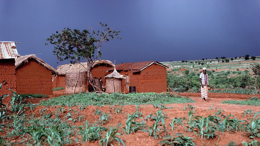 В Танзании убили десять детей, чтобы использовать их органы для колдовских ритуалов