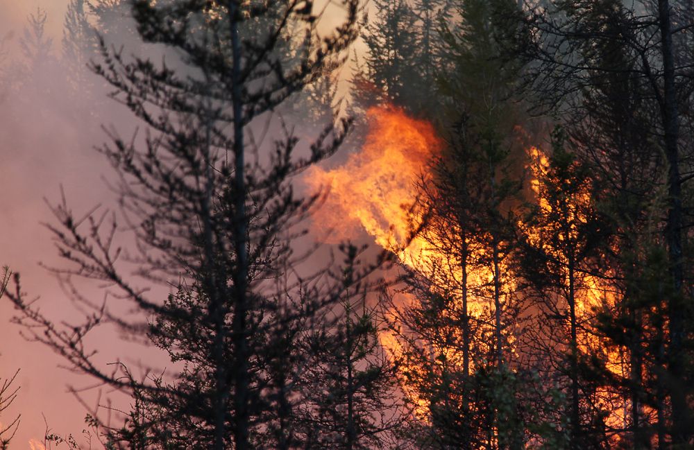 В Забайкальском крае ввели режим чрезвычайной ситуации из-за природных пожаров
