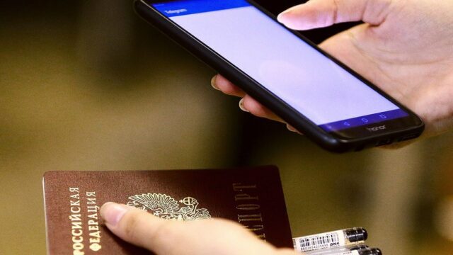 В правительстве России вернулись к идее замены паспортов на смарт-карты