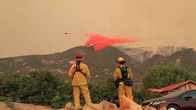 Лесной пожар в Калифорнии стал крупнейшим в истории штата