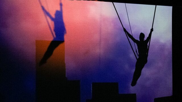 В Калмыкии акробат цирка Запашного сорвался с высоты во время выступления