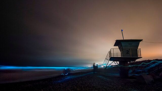 У берегов Калифорнии океан начал светиться благодаря фитопланктону: галерея