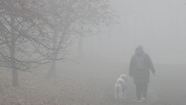 «Это совершенно естественное природное явление». Москву накрыл радиационный туман
