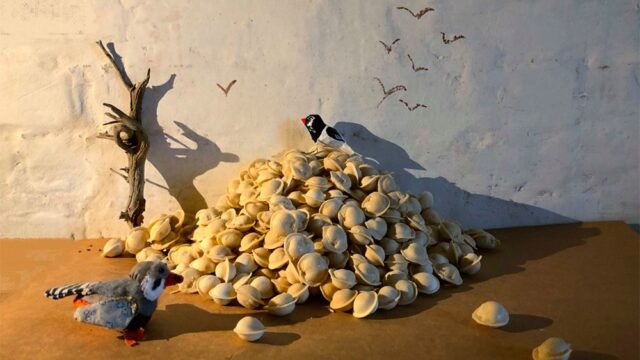 Искусствовед Зарина Асфари — о том, как #ИзоИзоляция изменила наше отношение к искусству
