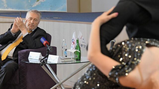 Жириновский призвал ограничить число детей в семьях