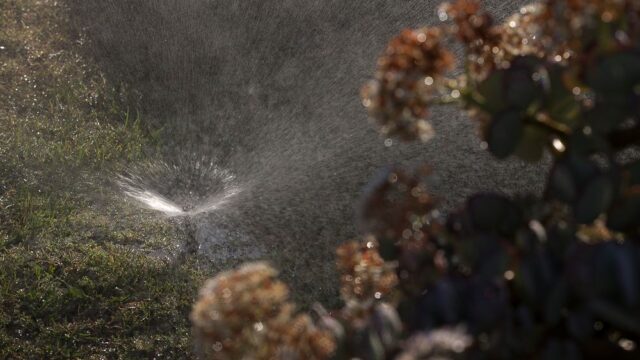 В Калифорнии спустя семь лет закончилась засуха