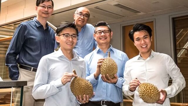 Ученые из Сингапура определили, что дает экзотическому фрукту дуриану его специфический запах