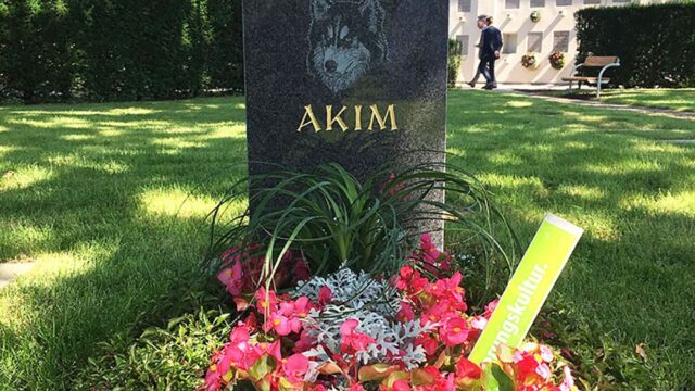 В Вене открыли совместное кладбище для людей и домашних животных