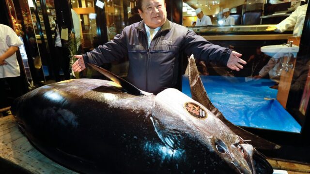 Японский ресторатор заплатил рекордные $3,1 млн за тунца на новогоднем аукционе