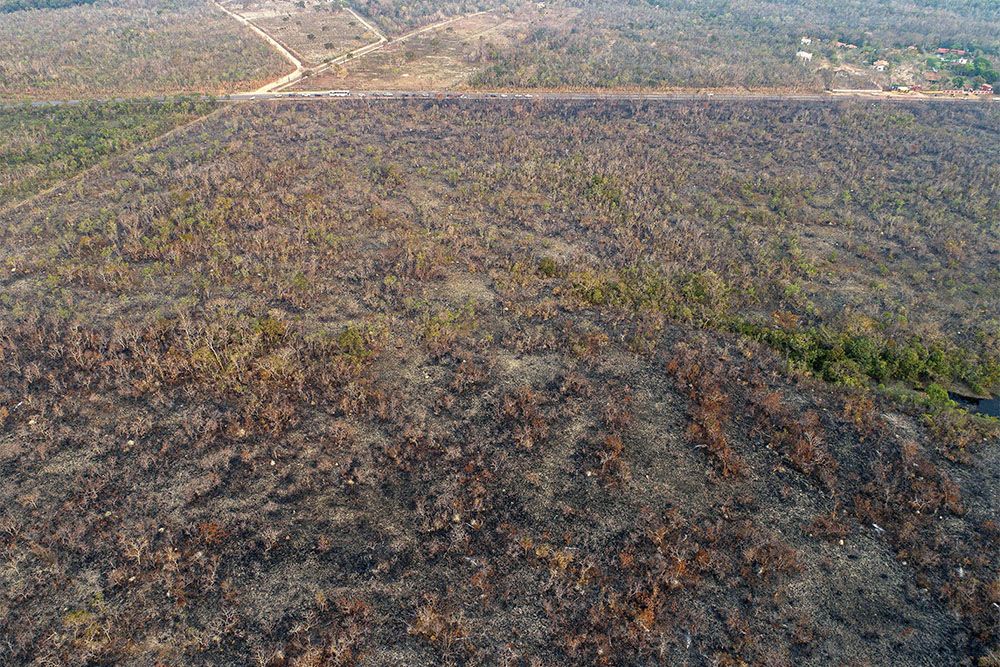 Горящие «легкие планеты»: чем грозят человечеству лесные пожары в Амазонии