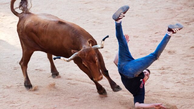 В Испании завершились ежегодные забеги наперегонки с быками: фотогалерея