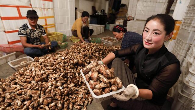 Ким Чен Ын подарил Мун Чжэ Ину две тонны грибов