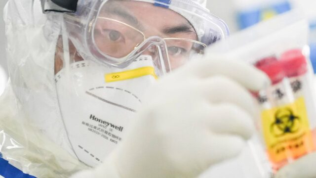 Китайские ученые изобрели антитело от «омикрон»-штамма коронавируса