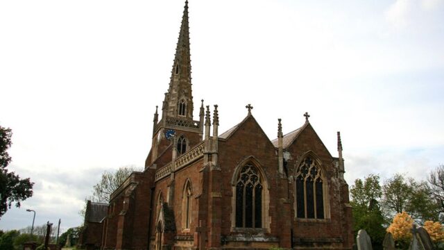 500 летучих мышей годами мешали проводить службу в британской церкви. Власти запустили программу, чтобы спасти прихожан
