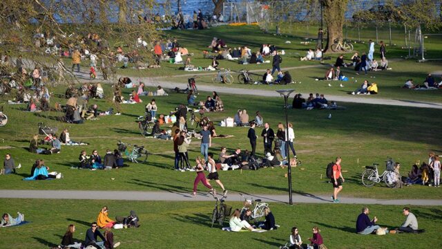 Как в Швеции приобретают коллективный иммунитет от коронавируса в барах и парках: фотогалерея
