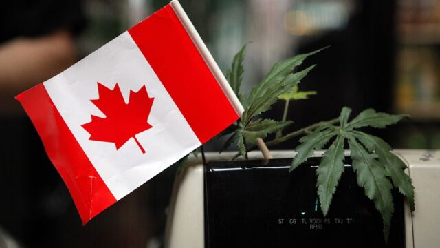 Сенат Канады принял закон о легализации марихуаны