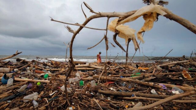 Власти Шри-Ланки решили запретить импорт большинства пластиковых изделий