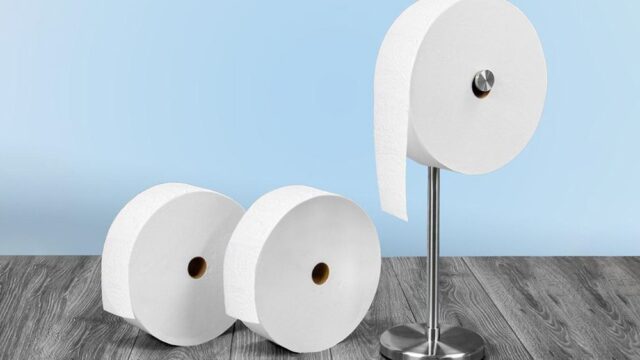 Компания в США выпустила рулон туалетной бумаги, которой хватит на месяц