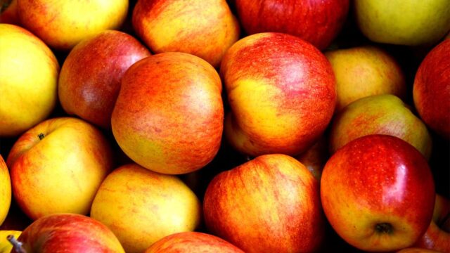 В США поступили в продажу яблоки, которые могут храниться в холодильнике целый год