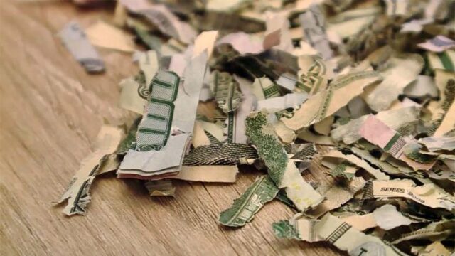 В Юте двухлетний мальчик засунул в измельчитель бумаги больше $1000