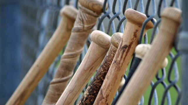 В Пенсильвании учителям раздали бейсбольные биты, чтобы они могли противостоять стрелкам