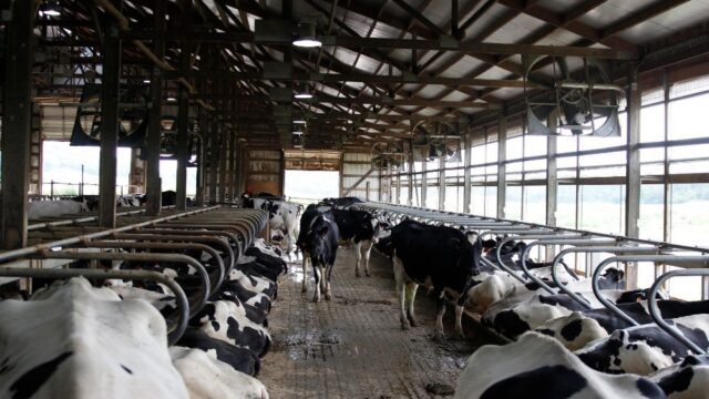 Крупнейшая в США молочная компания Dean Foods подала заявление о банкротстве