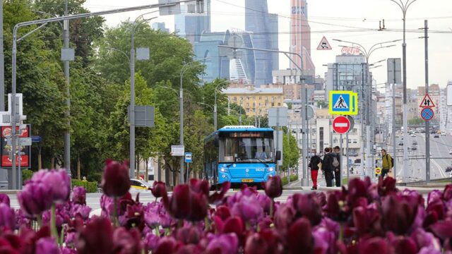 «Власть не может просто так отменить цифровые ошейники»: что говорят о прогулках по графику в Москве