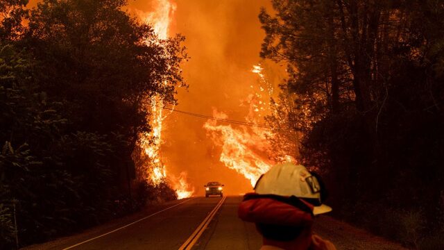 В Калифорнии зафиксировали крупнейший лесной пожар в истории штата