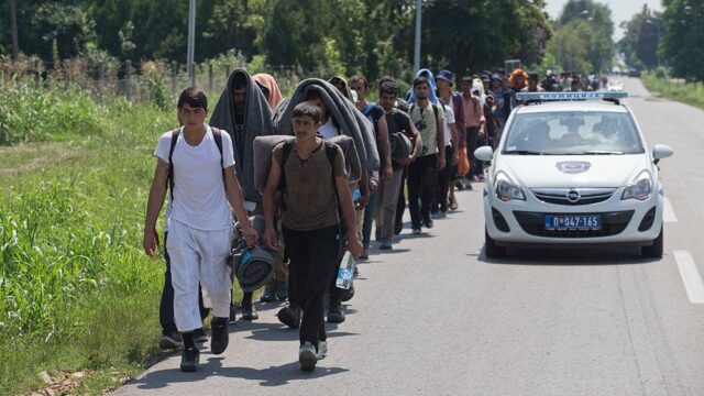 Human Rights Watch обвинила власти Венгрии в том, что мигрантов морят голодом