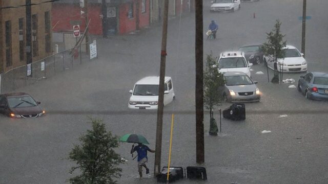 В Новом Орлеане уволили водителя после видео его поездки по затопленному городу