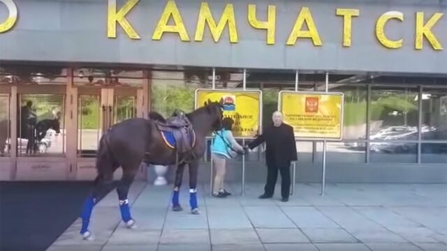 На Камчатке депутат прискакал на работу на коне