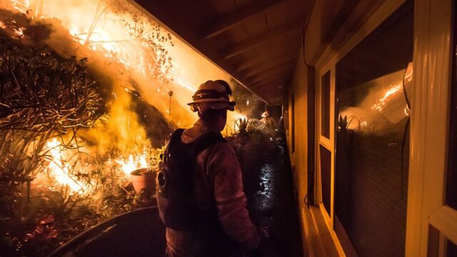 Жертвами лесных пожаров в Калифорнии стал уже 31 человек